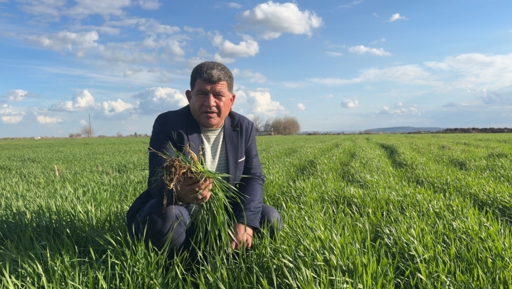 ’tarım Kenti’ Şanlıurfa Yağışa Doydu