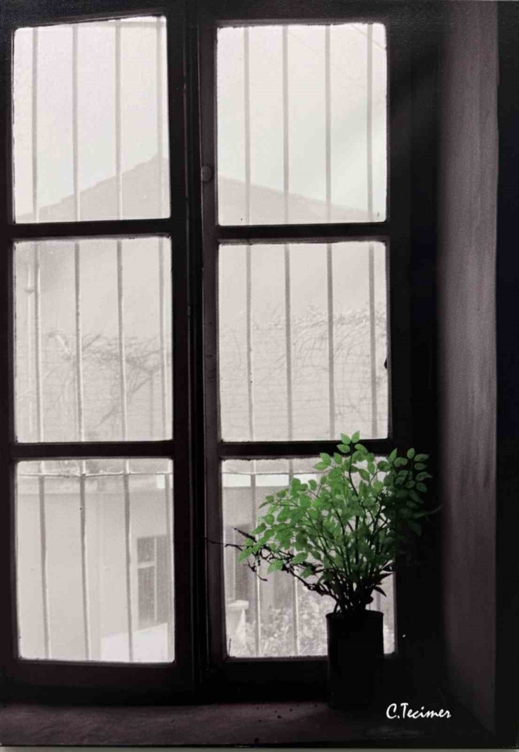 Sanko Sanat Galerisinde Fotoğraf Sergisi Açıldı