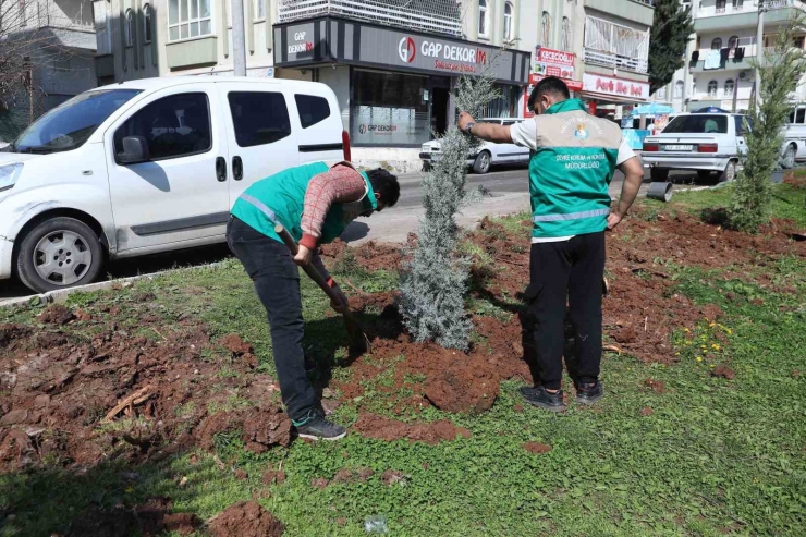 Haliliye’de Yaz Öncesi Parklarda Hummalı Çalışma