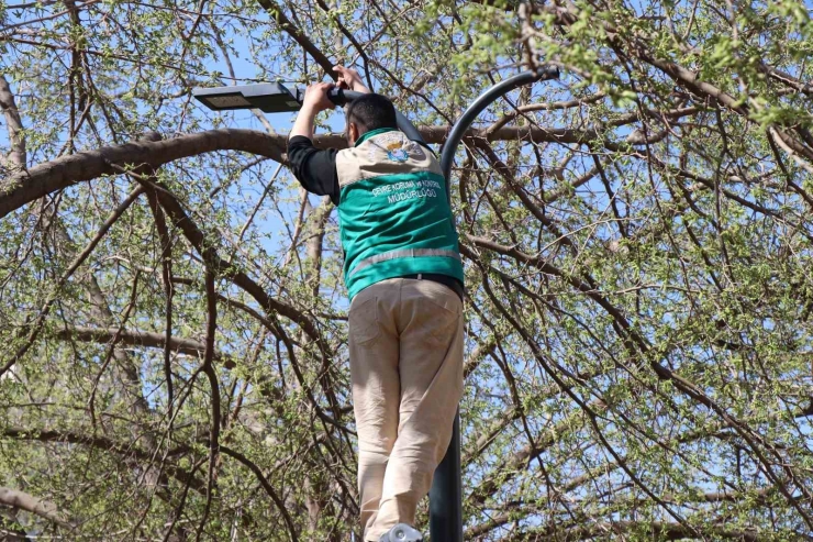 Haliliye’de Yaz Öncesi Parklarda Hummalı Çalışma