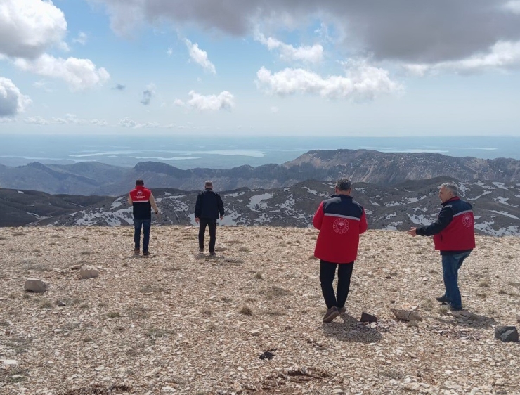 Süne Mücadelesi İçin İlkbahar Kışlak Sürveyleri Yapıldı