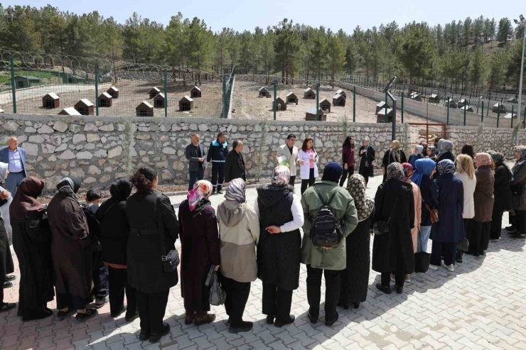 Battalgazi Belediyesi Proje Ve Yatırımları Ak Parti Yeşilyurt Kadın Kolları’na Tanıtıldı