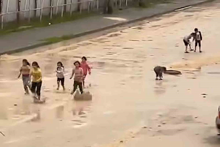 Araban Eski Günlerini Arıyor