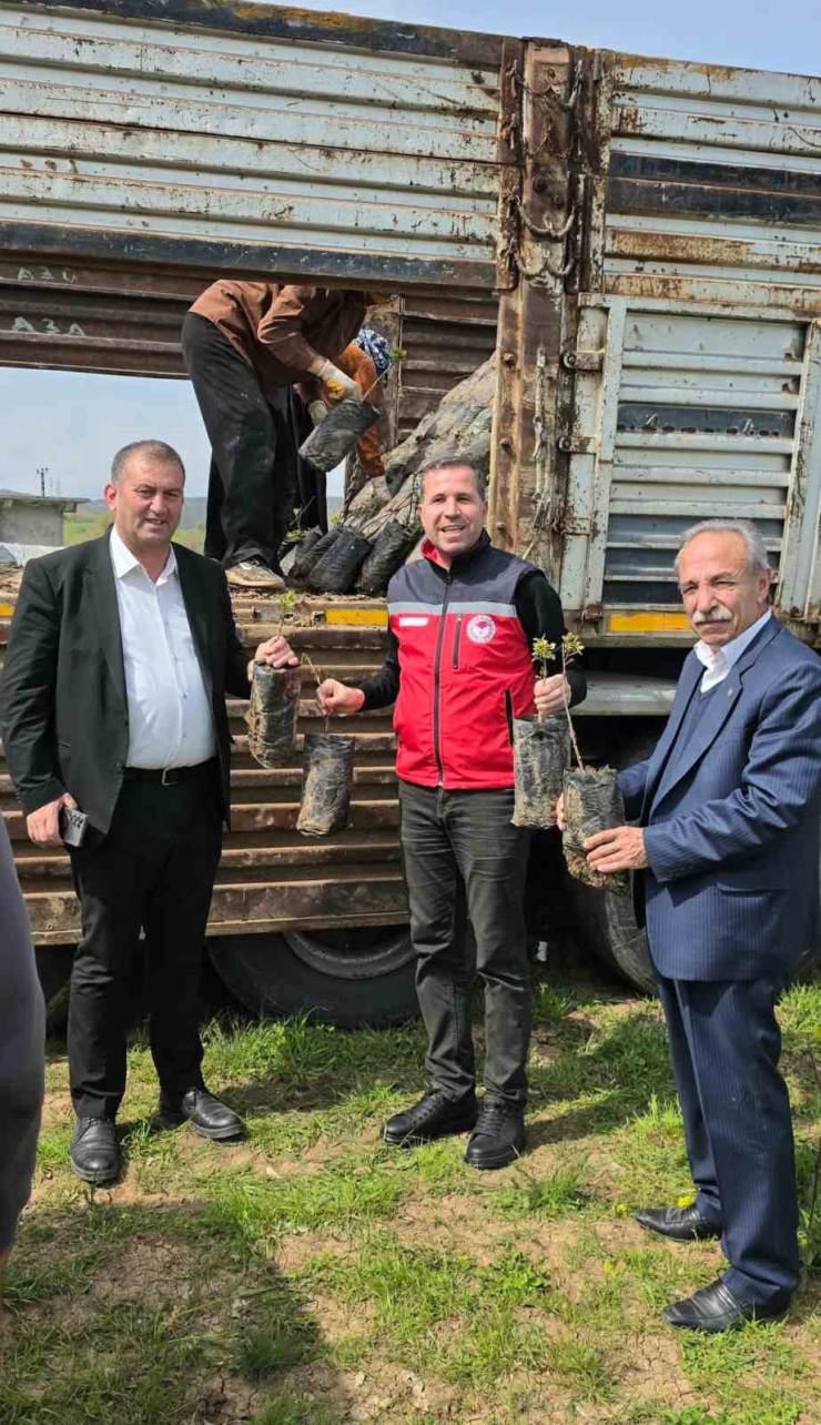 Dicle’de Çiftçilere Yüzde 100 Hibeli Bin 176 Adet Fıstık Çöğürü Dağıtıldı