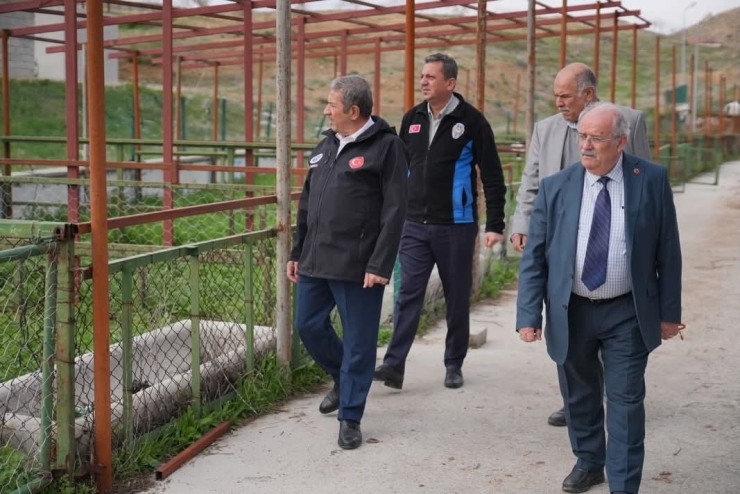 Darende’de Kurban Bayramı Hazırlıkları Sürüyor