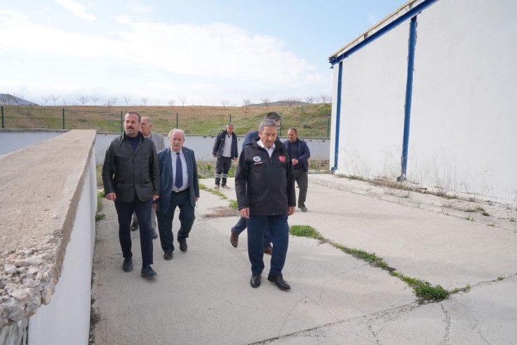 Darende’de Kurban Bayramı Hazırlıkları Sürüyor