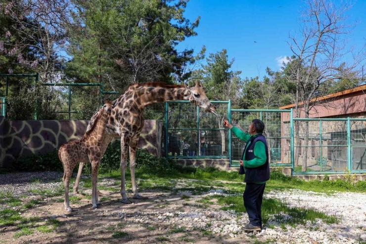 Gaziantep Doğal Yaşam Parkı’nda Hedef 10 Milyon Ziyaretçi