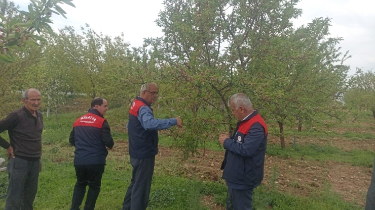 Malatya’da Dolu Sonrası Hasar Tespit Çalışmaları Başlatıldı