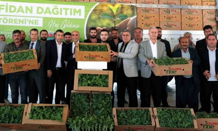 Arabanlı Karpuz Üreticisi Çiftçilere Yüzde 50 Hibeli Fide Desteği