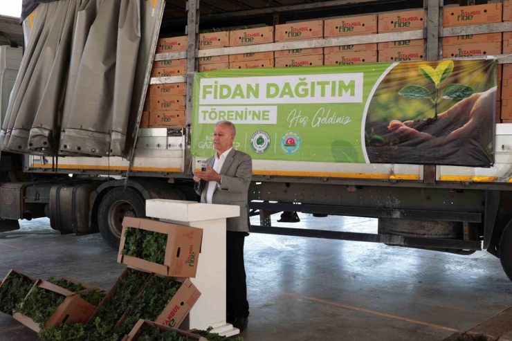 Arabanlı Karpuz Üreticisi Çiftçilere Yüzde 50 Hibeli Fide Desteği