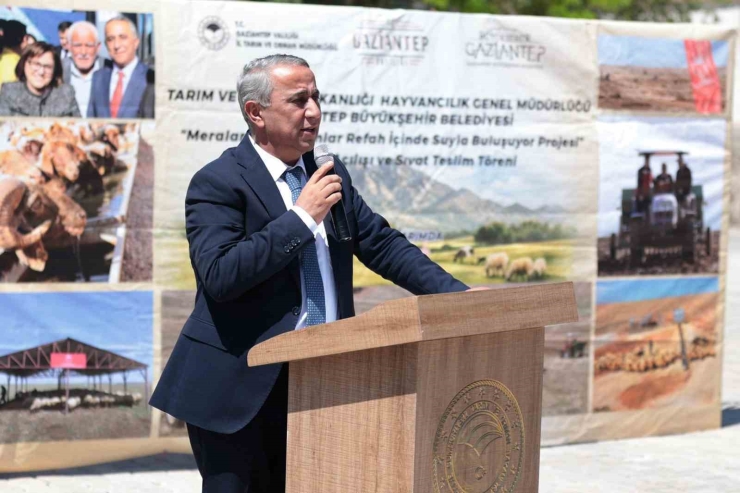Arabanlı Üreticilere Yüzde 90 Hibeli Sıvat