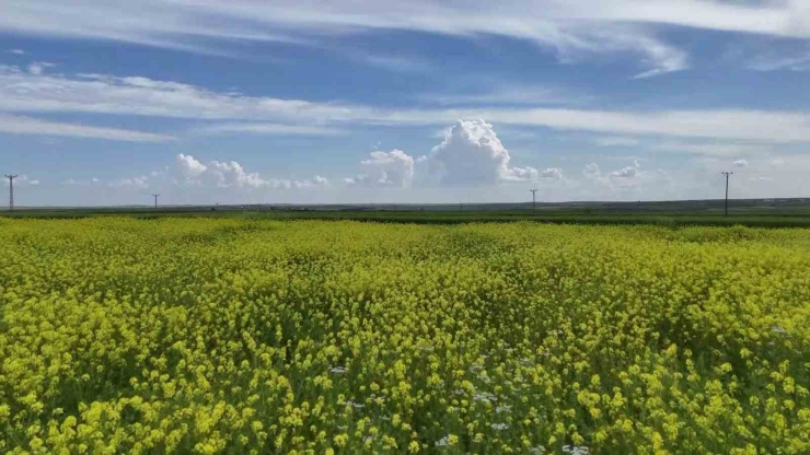 Kızılin Kanyonu Ve Çevresinde İlkbahar