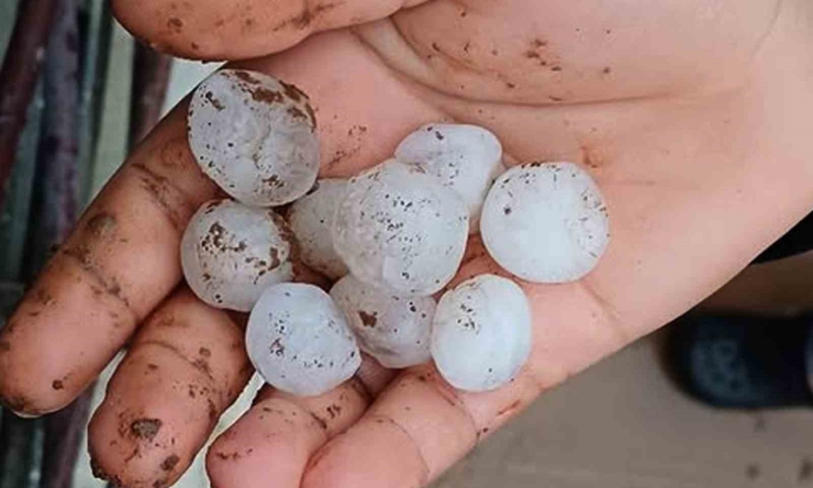 Araban’da Etkili Olan Dolu Yağışı Korkuttu