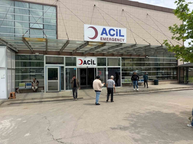 Şanlıurfa’da Köpek Saldırısına Uğrayan Yaşlı Adam Yaralandı