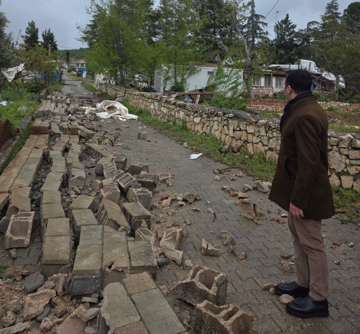 Adıyaman’da Fırtına Da Ağaçlar Devrildi