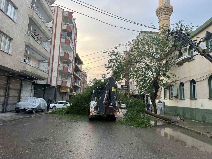 Birecik’te Vatandaşlar "süper Hücre" Felaketini Anlattı