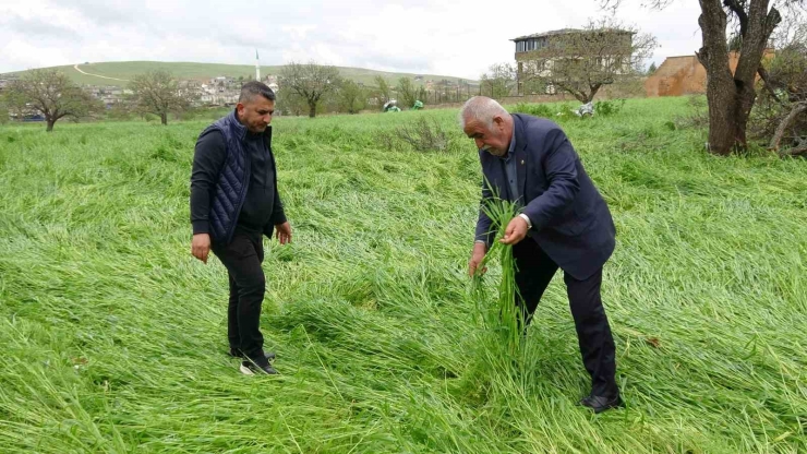 Hububatı ‘süper Hücre’ Vurdu
