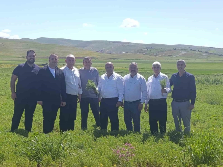 Gtb’den Bakliyat Sektörüne Yönelik Saha İncelemesi Ve Bölgesel İstişare Programı