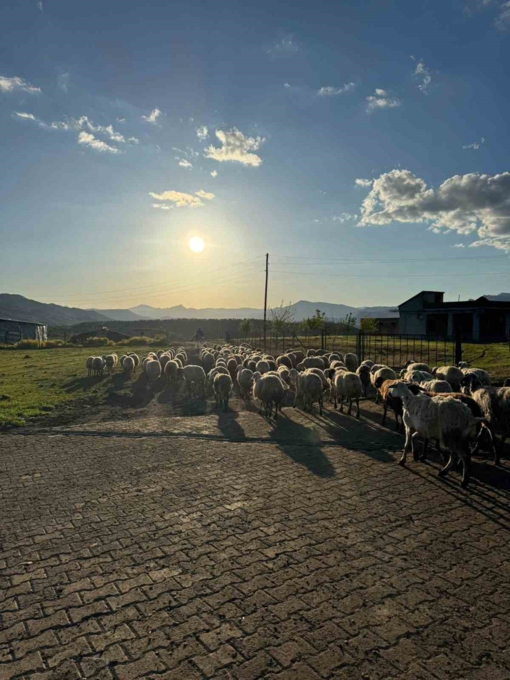 Diyarbakır’da Göçerlerin Zorlu Yolculuğu Başladı