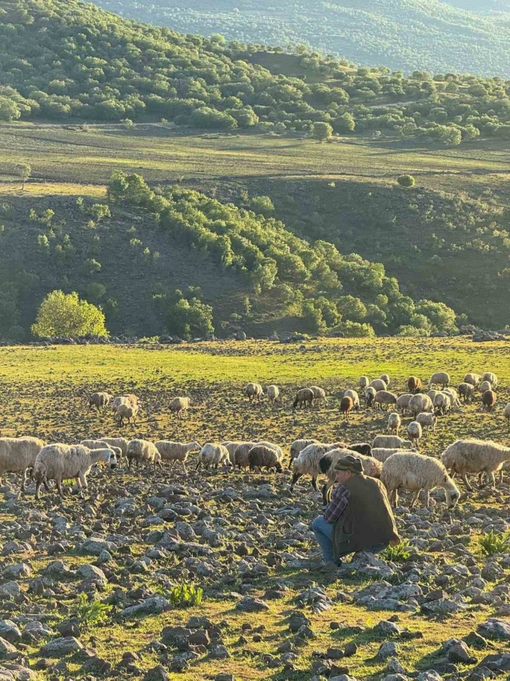 Diyarbakır’da Göçerlerin Zorlu Yolculuğu Başladı