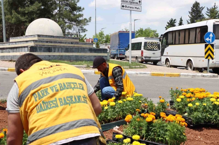 Şanlıurfa Çiçeklerle Donatıldı