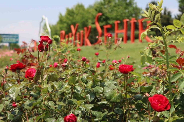 Şanlıurfa Çiçeklerle Donatıldı
