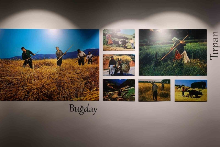 Büyükşehir’den "anadolu’nun Yüzleri: Ali Atalar Kartpostal Koleksiyonundan Seçkiler" Sergisi
