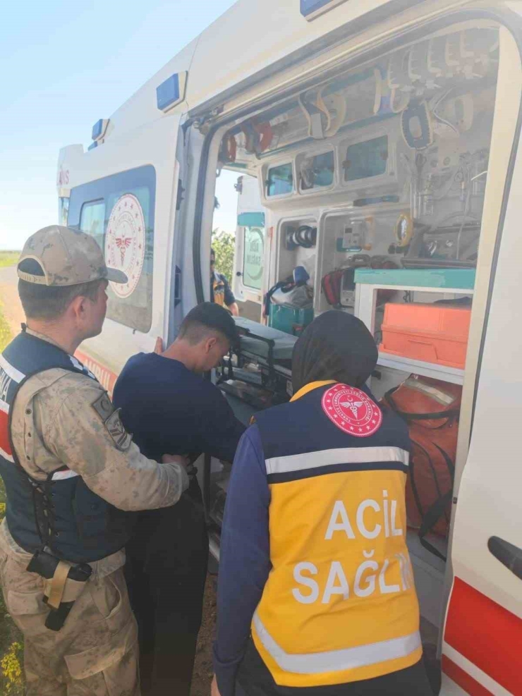 Şanlıurfa’da Kaybolan Çocuk Fıstık Bahçesinde Bulundu