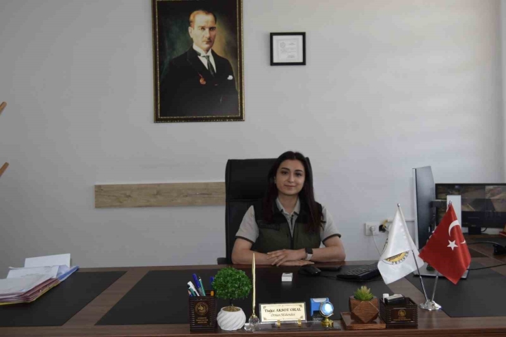 Dicle Orman İşletme Şefliği İlçede Yaklaşık Bin 500 Adet Fidan Dağıttı