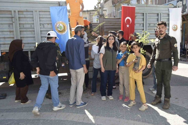 Dicle Orman İşletme Şefliği İlçede Yaklaşık Bin 500 Adet Fidan Dağıttı