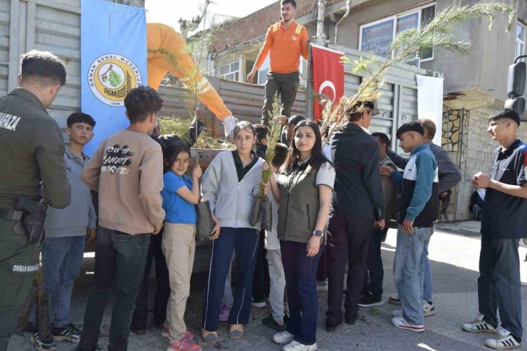 Dicle Orman İşletme Şefliği İlçede Yaklaşık Bin 500 Adet Fidan Dağıttı