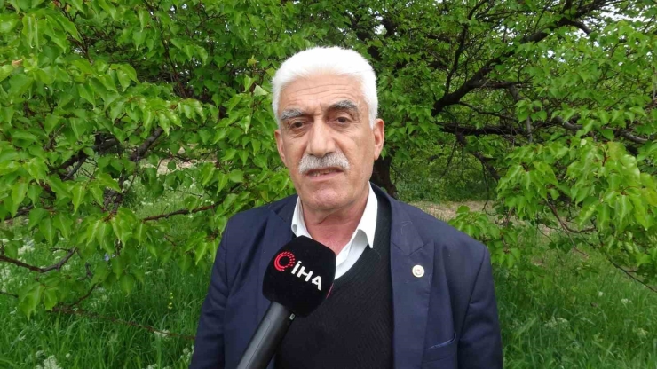 Zirai Don Ve İklim Şartları Kayısıda Verim Beklentisini Düşürdü