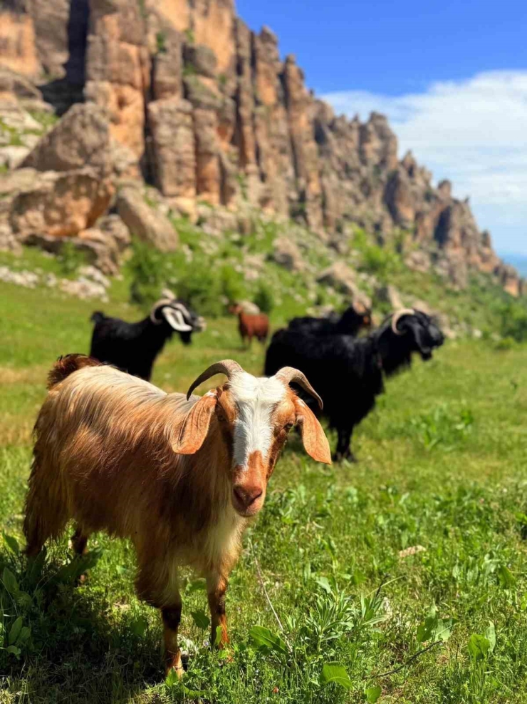 Çermik İlçesi Doğa Güzelliği Ve Tarihi İle Kapılarını Turizme Araladı