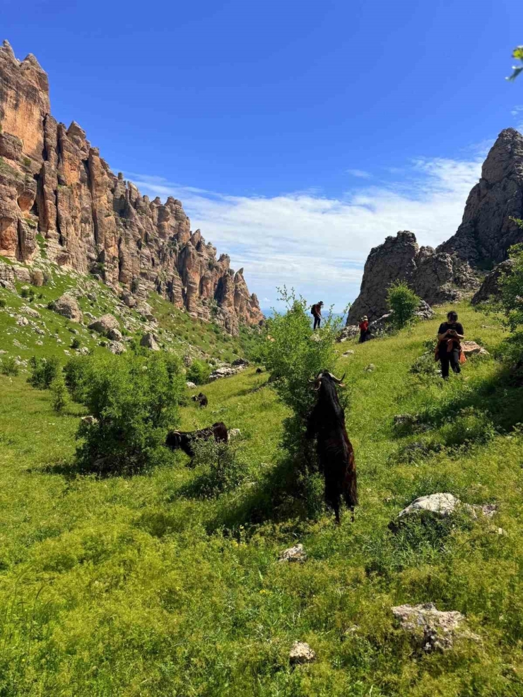 Çermik İlçesi Doğa Güzelliği Ve Tarihi İle Kapılarını Turizme Araladı