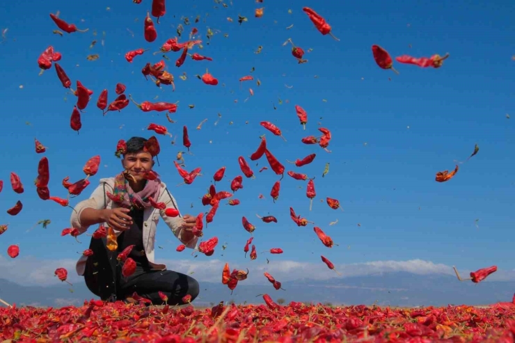 Gtb’den İki Ayrı Fotoğraf Yarışması