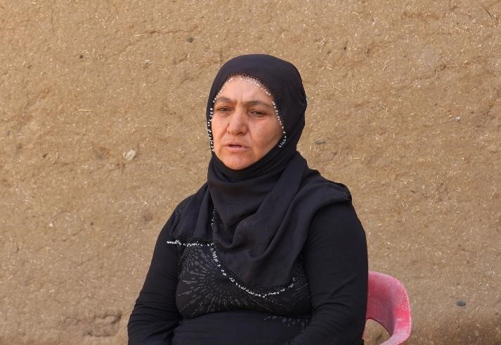 Devlet Destekleriyle Diyarbakır’da Manda Sayısı 21 Bin 500’e Ulaştı