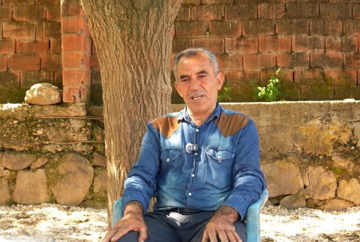 Devlet Destekleriyle Diyarbakır’da Manda Sayısı 21 Bin 500’e Ulaştı