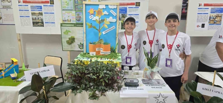 Silvan’da Tübitak 4006 Bilim Fuarı Rüzgarı