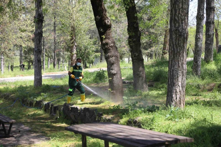 Parklarda Yaz Hazırlığı