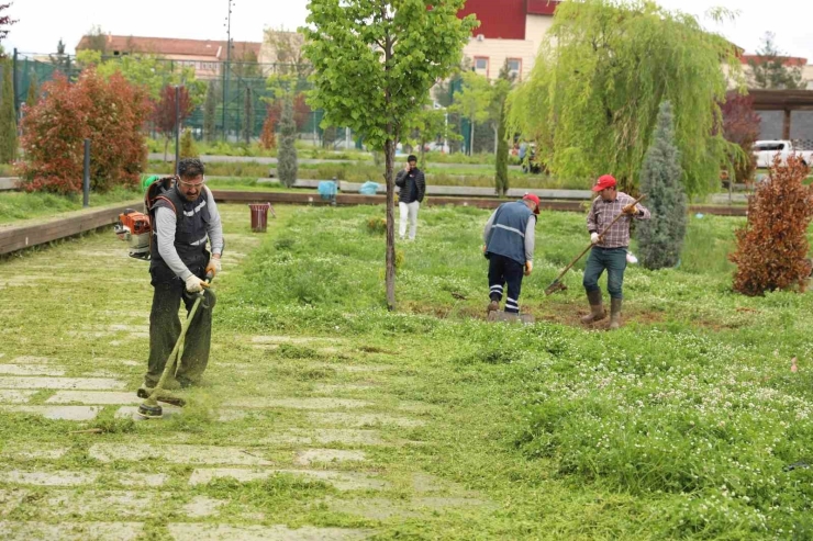 Parklarda Yaz Hazırlığı