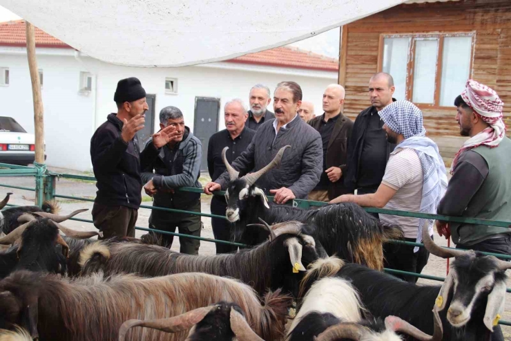 Mesob Başkanı Keskin: "canlı Hayvan Pazarı Yeniden Kamu Malı Olmalı"