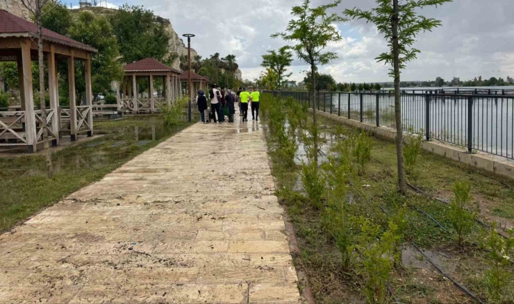 Fırat Nehri Taştı, Her Yeri Su Bastı