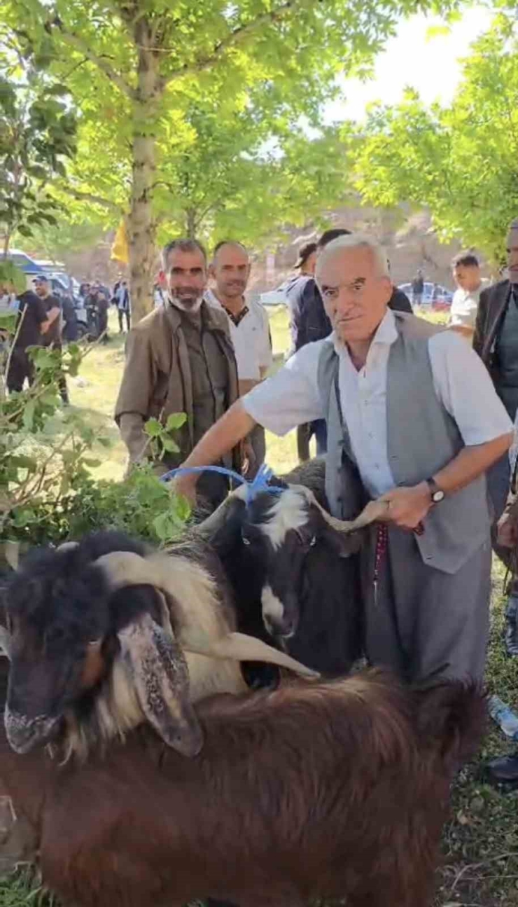 Bayram Öncesi Hayvan Pazarına İlgi Arttı