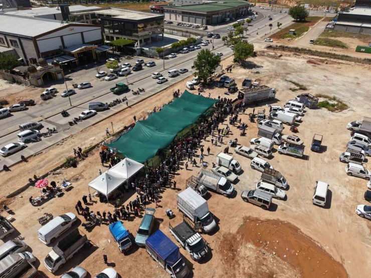 Şehitkamil’de Kurban Bayramı Hazırlıkları Tamamlandı
