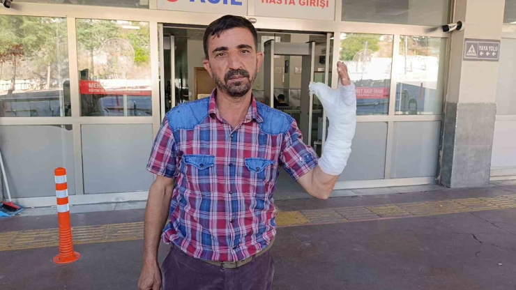 Şanlıurfa’da Bayramın İlk Gününde 232 Acemi Kasap Hastanelik Oldu