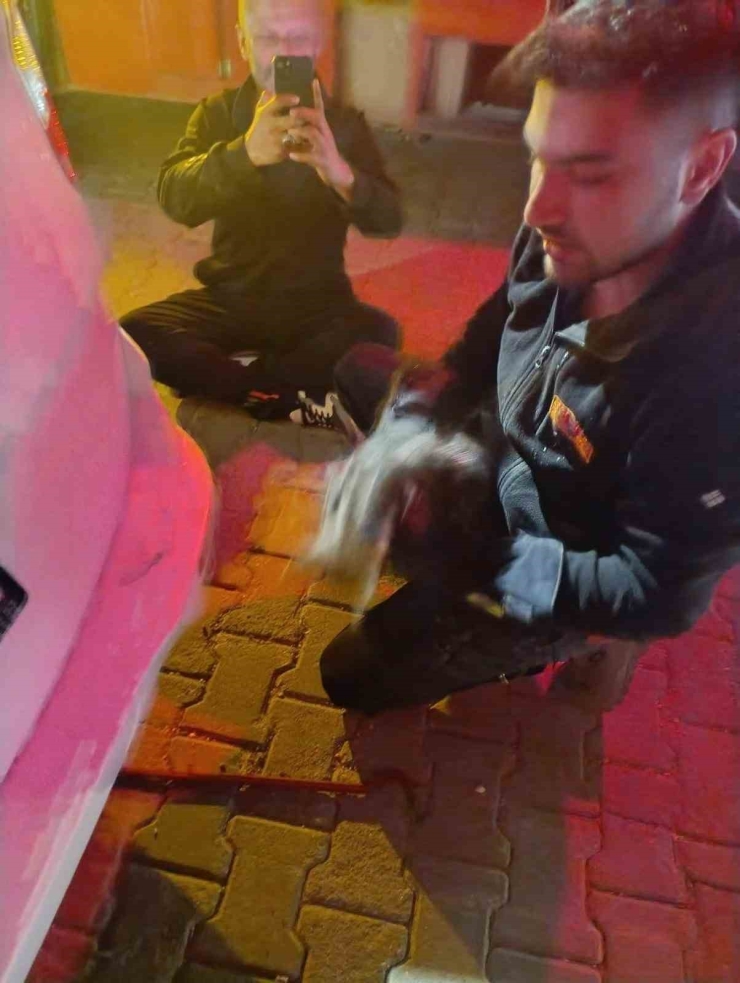 Motor Kısmına Sıkışan Kedi İçin Seferber Oldular