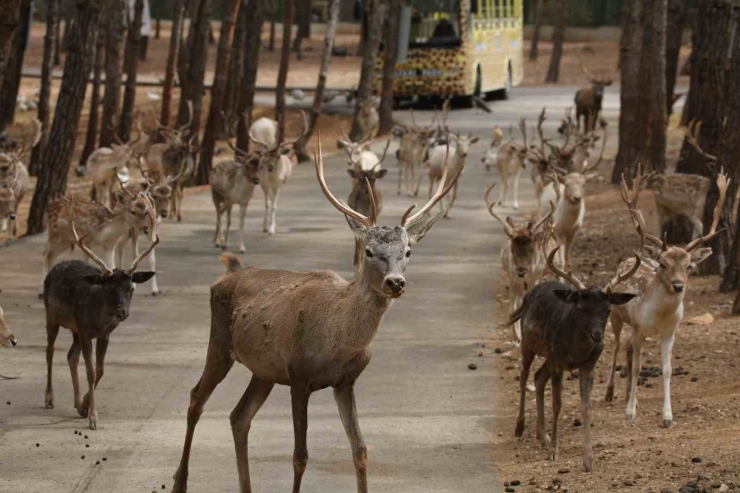 Earaza’dan Gaziantep Doğal Yaşam Parkı’na Üyelik Daveti