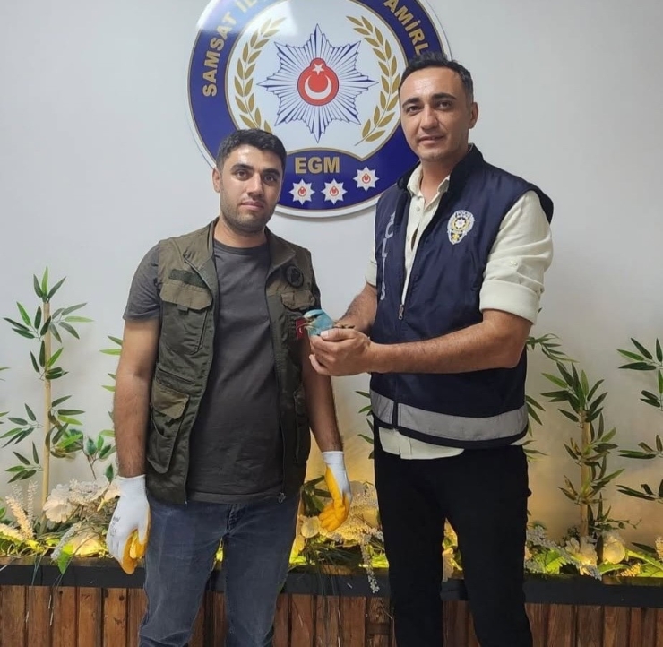 Polis Ekiplerinin Bulduğu Yaralı Gökkuzgun Koruma Altına Alındı
