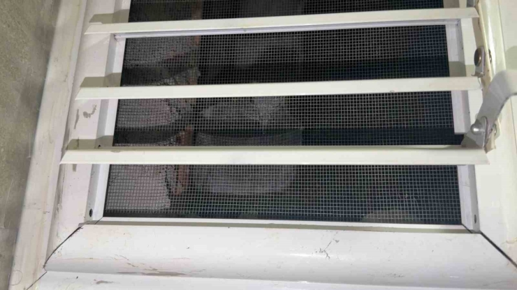 Günlerdir Mahsur Kalan Güvercini Kurtarmak İçin Pencereyi Söktü