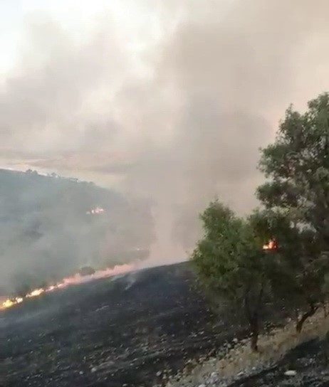 Kahta’da Anız Yangını Köye Kadar Ulaştı